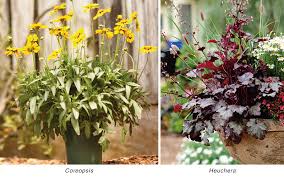 Perennial plants may be defined as those which endure or persist from the same root part year to year. Plant Perennials In Your Southern Garden The Home Depot