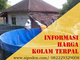 Modal 300rb Sudah Dapat Kolam Terpal Bundar Orchid Sipoden Official