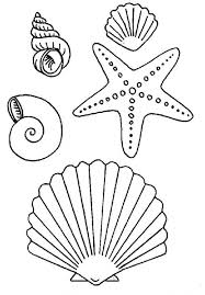 Muscheln ausmalbilder bieten eine tolle möglichkeit, die kreativität, den fokus, die motorik und die. Starfish Coloring Pages Coloring Pages Starfish Seestern Kinderbasteleien Malvorlagen