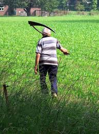In my opinion, there are two good alternatives to a lawn mower for cutting the grass. 5 Ways To Cut Grass Without A Mower