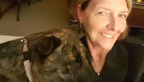 We are excited to share that after months of medical care, 50 dogs rescued from a puppy mill in mio, michigan, in december are ready to find loving homes. Small Rescue Dogs In Michigan Home Facebook