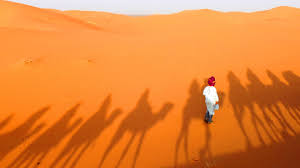 The dunes is more than just a resort. é©¬æ‹‰å–€ä»€åˆ°è´¹å…¹ åŒ…æ‹¬åœ¨merzougaæ²™ä¸˜éª'éª†é©¼ Hiking In Morocco
