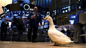 Aflac does not coordinate benefits. We Expect Insurance Claims Will Recover To Pre Pandemic Levels This Year Aflac Ceo
