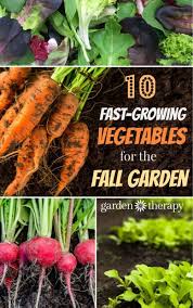 Growing fall vegetables in colder climates can be a gamble, but these crops mature quickly so you can grow more food in your fall garden. Shop By Category Ebay Fall Garden Vegetables Fast Growing Vegetables Growing Vegetables