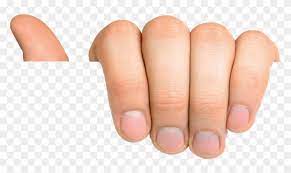 Clip Art Hand Holding Paper Png Hand Holding Paper Png Transparent Png Imagens Para Photoshop Cartazes De Viagens Vintage Maos