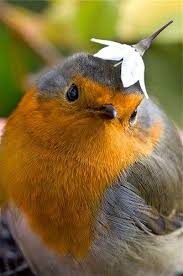 Flower Hat Bird Printables Bird Kite Cute Birds