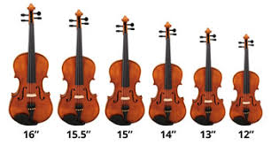 Image result for Viola