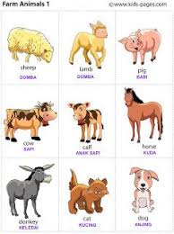 Check 'haiwan ternakan' translations into english. Bela Haiwan Ternakan In English