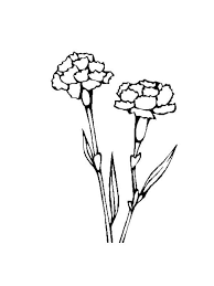 Carnation Flower Coloring Pages Download And Print Carnation Flower Coloring Pages Carnation Colors Flower Drawing Flower Coloring Pages