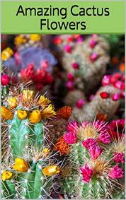 We have added the high quality picture of each. Amazing Cactus Flowers Photobook Of Variety Beautiful Cactus Flowers Around The World Photobook Nature 1 1 Williams Arika Amazon Com