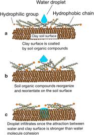 Finally, you have a tiny 5% organic matter, dead or alive, like if the soil absorbs water easily, it's probably a sandy soil or a chalky one. Understanding The Mechanisms Of Soil Water Repellency From Nanoscale To Ecosystem Scale A Review Springerlink