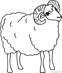 You can use these free printables for your children as an educational material. Easy Realistic Ram Coloring Page Coloringall