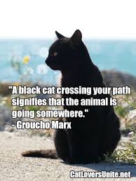 Life is like a piano, the. Marx Black Cat Quote Catloversunite Net