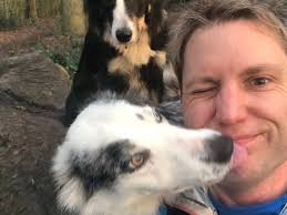 I run a marathon every single day before breakfast with my 2 Border  Collies'