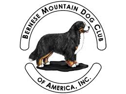 Maybe you would like to learn more about one of these? Bernese Mountain Dog Club Of America The Bmdca