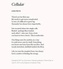 An element is a material that consists of a single type of atom. Brian Platzer On Twitter Life In Even The Simplest Form Has Always Been A Matter Of Finding The Energy Happy National Poetry Month