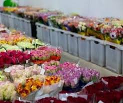 This business listing is provided by Wholesale Florist Insurance Cost Coverage 2021