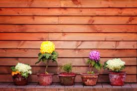 Pour plus d'informations sur l'utilisation de vos données personnelles, vous pouvez consulter notre. Bacs Et Pots A Plantes Quel Materiau Choisir