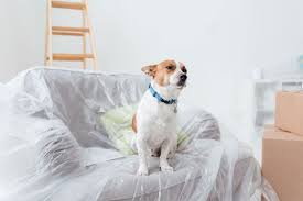 Hausmittel gegen hundegeruch in der wohnung. Wenn Ein Geruch In Der Wohnung Ratsel Aufgibt Bauen Wohnen Derstandard At Immobilien