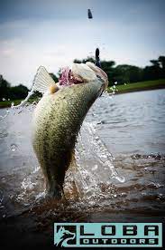 Lobaoutdoors Com The Web S New Destination For Women Who Love To Fish Hunt And Spend Time In The Great Outdoors Will Fish Bass Fishing Fishing Adventure