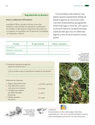 El administrador del blog libros famosos 2020 también recopila otras imágenes relacionadas con los libro de ciencias naturales 4 grado 2016 2017 a continuación. Libro De Ciencias Naturales De 4 Grado Resuelto 2021 Novocom Top