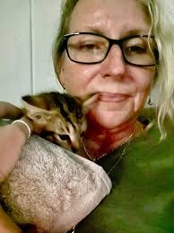 ADOPT YOUR OWN LITTLE HERO: Meet Iron Man Looking for a kitten with the  charisma of Tony Stark and the heart of a true Avenger? Say hello to Iron  Man, an utterly