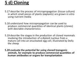 Cold spring harbor laboratory of quantitative biologypublish on: Ert 211 Biochemical Engineering Course Outcome Ability To Describe The Usage And Methods For Cultivating Plant And Animal Cell Culture Ppt Download
