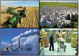 Estarão no mesmo setor instituições que produzam bens ou prestem serviços de uma mesma classe , isto é. Setores Da Economia Conexao Escola Sme