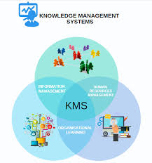 Pin By Mariana03 On Sistemas De Informacion Y Sociedades Del Conocimiento Knowledge Management Knowledge Management System Resource Management