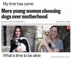 People Who Prefer Pets Over Kids Are Creating Funny Memes That Explain Their Choice Bored Panda