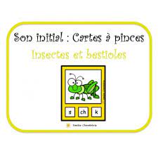 Comment faire ces deux insectes avec une pince à linge. Son Initial Cartes A Pinces Insectes