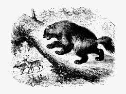 Maybe you would like to learn more about one of these? Premium Vector Wolverine Animal Cartoon Illustration