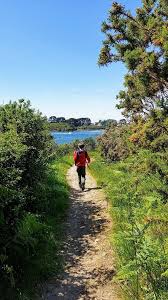 Randonnee Le Long De La Ria D Etel Randonnee Morbihan Bretagne