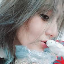 Peter Magnus 的Instagram photo • Jan 4, 2020 at 7:16 AM