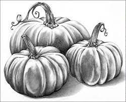 Graphite Pencil Pumpkin Patch Pumpkin Drawing Fall Drawings Pumpkin Sketch