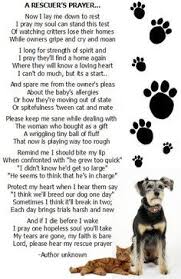 Poem About Homeless Dogs At The Rainbow Bridge Google Search Animal Poems Death Of A Pet Dog Poems