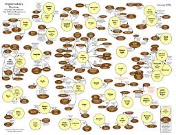 Check spelling or type a new query. Corporate Organic Brands Gmo Awareness