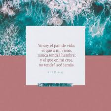 S Juan 6 35 Jesus Les Dijo Yo Soy El Pan De Vida El Que A Mi Viene Nunca Tendra Hambre Y El Que En Mi Cree No Tendra Sed Bible Apps Jesus