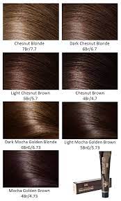 Pin By Alma Sanchez On Hair Hair Color For Brown Eyes Chestnut Hair Color Hair Color