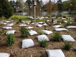 Affordable landscaping services at the click of a button. Mulch Bagged Mulch Is Our Preferred Method Because It S Easy For Us To Handle It Daily Press