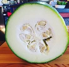 We did not find results for: Marrow Vegetable Wikipedia