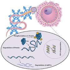 Maybe you would like to learn more about one of these? Sperm Cryopreservation A Review On Current Molecular Cryobiology And Advanced Approaches Reproductive Biomedicine Online