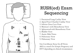 We did not find results for: The Rush Exam Rapid Ultrasound For Shock And Hypotension