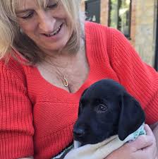 Can anyone recommend puppy training classes in this area please?