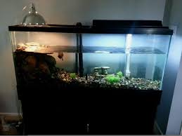 Heat Lamp For Fish Tank Turtle Tank Turtle Habitat Turtle