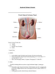 Pengontrolan hormonal terhadap reabsorpsi tubulus. Anatomi Sistem Urinaria 2