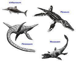 dinosaure volant reptiles coloriage de chien en images