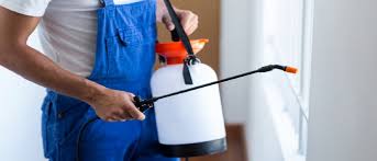 We are at the beginning of new and. Home Chawans Cleaning Pest Control Security Housekeeping Services