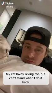 Funny Cat Tiktok Video Funny Animal Videos Cute Animals Animal Memes