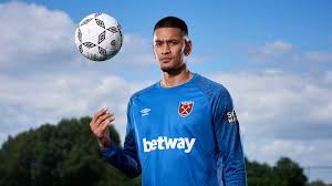 .manchester city manchester united newcastle united norwich city southampton tottenham hotspur watford west ham united wolverhampton wanderers. Goalkeeper Areola Completes Move To West Ham